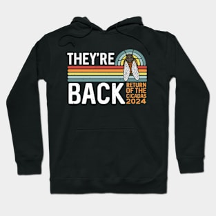 They're Back Cicada Invasion Funny Cicada 2024 Hoodie